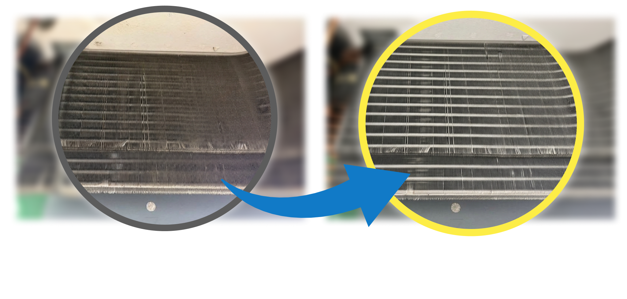 フィルター掃除前・後