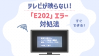 IMG 4568.jpgcrop