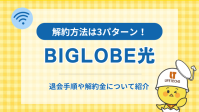 ビッグローブ光 解約