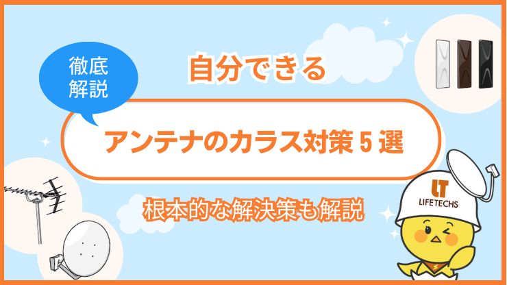 【自分でできる】アンテナのカラス対策5選!根本的な解決策も紹介