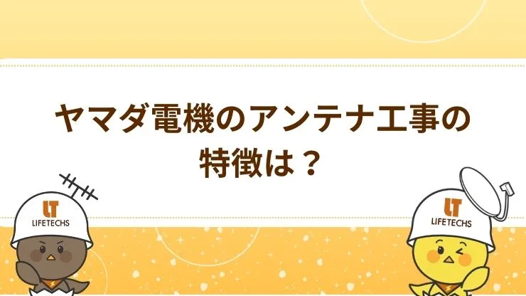 ヤマダ電機の特徴